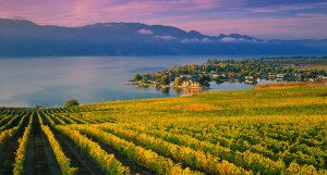 Kelowna 1