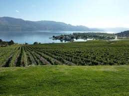 Kelowna 55